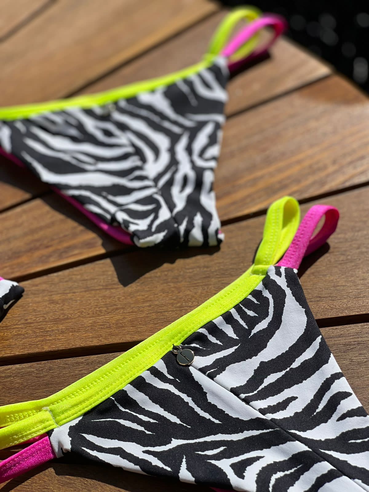 Biquini Gio Zebra Multicolor
